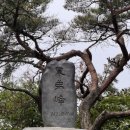 미라클 케이크 이미지
