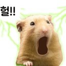 하도로와 이미지