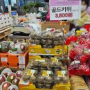 노마축산 이미지