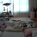 차차퀼트 이미지