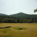 용인자연휴양림 야영장 이미지