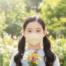 데일리 핏 이미지