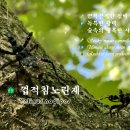🪲 껍적침노린재 (Velinus nodipes) 🧪 끈적끈적한 점액질 위장술 💎 독특한 광택 🌲 숲속의 냉혹한 사냥꾼 이미지