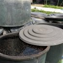 산골백두 이미지