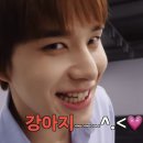 하지프로젝트