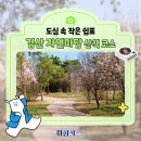 양지바른정비마당 | 경산시 블로그 기자단:: 도심속 작은 쉼표, 경산 자연마당 산책🌸