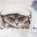 영남한의원 이미지