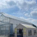 고삼농장 이미지