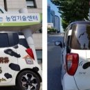 솔메이트 이미지