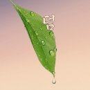 퀸즈헤나 이미지