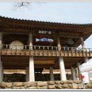 동화사 - 1115 | 동화사