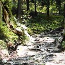 강진 바스락길 이미지