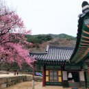 화엄사 관광안내소 이미지