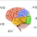 24시 청주이음동물의료센터 이미지