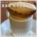 코코하카카오패밀리제주세화초콜릿
