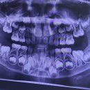 선운치과의원 이미지