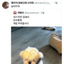 비트포비아 던전101 네이버블로그