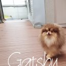 비트켄넬 이미지