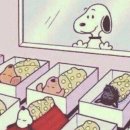부천삼성요양병원 | [산후조리원후기] 청주 삼성산후조리원 11박 12일 VIP실 요양후기