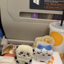 강릉 1박 2일 여행(중앙시장, 순두부젤라또, 아르떼뮤지엄, 정화식당, 소품샵투어)