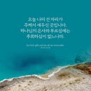 강해 이미지