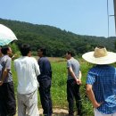 창대펜션 이미지