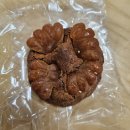 봄꽃힐링투어 이미지