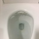 도루코 기술연구소 | 내돈내산_슬기로운 똥생활을 위한 충격의 비데 분해 청소 후기, 비데 청소법