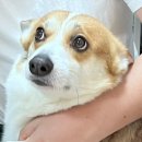 탕곡리 마을회관 이미지