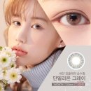단델리온마켓 네이버블로그
