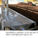 청능목장1 이미지