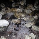 무주천마농장 이미지