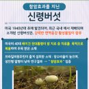전이전
