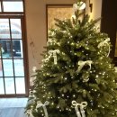 카페지유 | [수영 디저트 카페] 지유파티쓰리 🍒