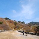 금성주유소 이미지
