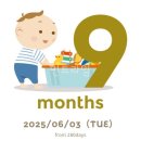 주간일기 25_6_1주