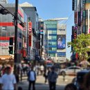 시원하지흉부외과의원 이미지