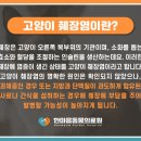 한마음종합동물병원 이미지