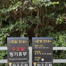 한우샘농장 | 여수여행 아이와가볼만한곳 한우드림동물체험장 후기