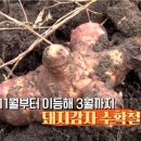 평밭농장 이미지
