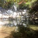 동곡농장 이미지