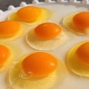 나온농장 이미지