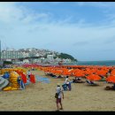 해운대 - 장성읍 | 해운대