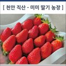 직산농장 이미지