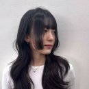 이도헤어 - 안양시 동안구 | 이도헤어