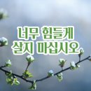 도계영등제🍁칠도품바와 삼순이품바의 배꼽잡는 환상공연🍁 이미지