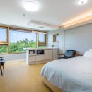 라메모리아 이미지