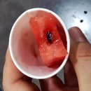 세일 보러 갔다가 1등 토마토라는 이 녀석한테 영혼까지 털렸습니다+신상 씨푸드감바스까지 보고왔어요