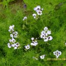 선산대로6-6 이미지