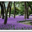 화원우체국 이미지